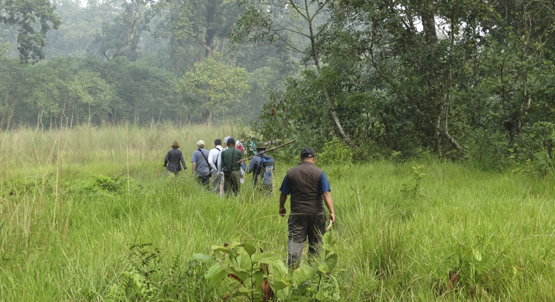 Things to do in Chitwan National Park