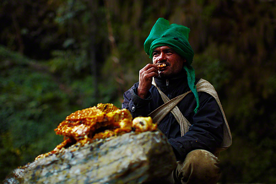Honey Hunting Nepal- An Adventurous Trip - Nepal Travel Guide