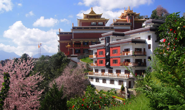 Thrangu Tashi Yangtse monastery