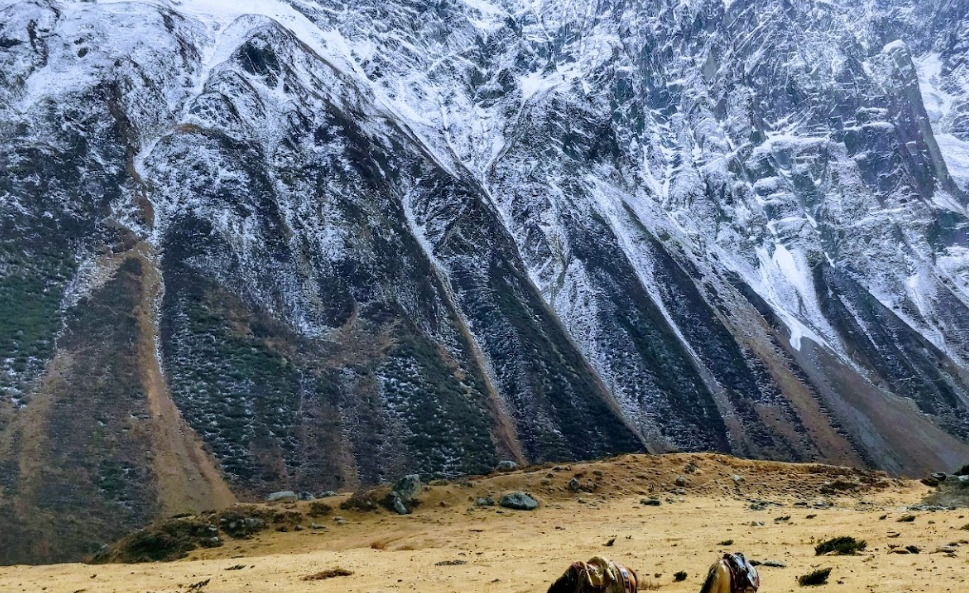 larkya mountain pass nepal