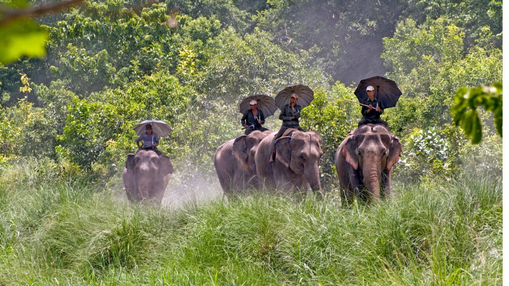 Reasons to Visit Bardiya National Park